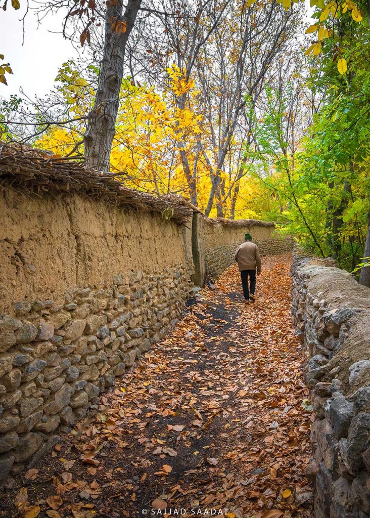رهگذر پاییز