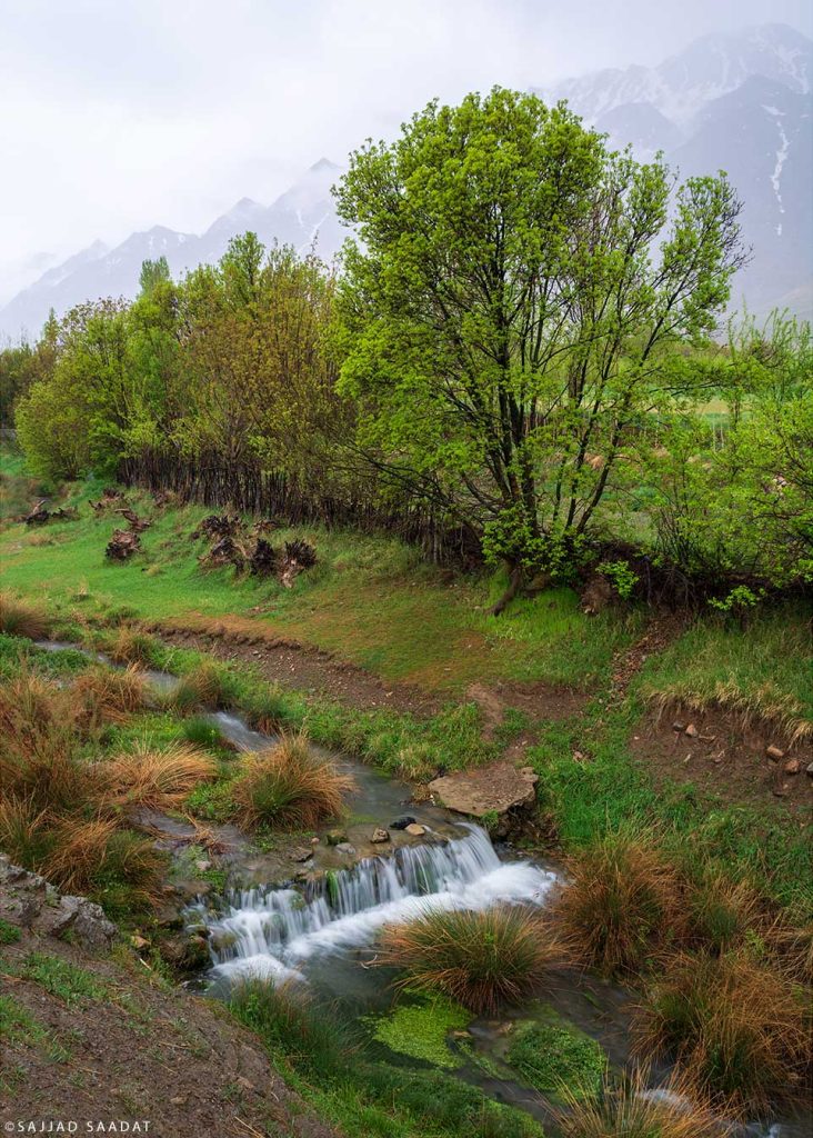 طبیعت بهاری خوانسار