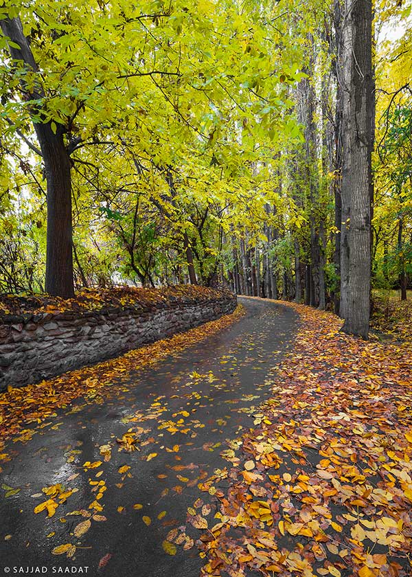 کوچه قیصری ها