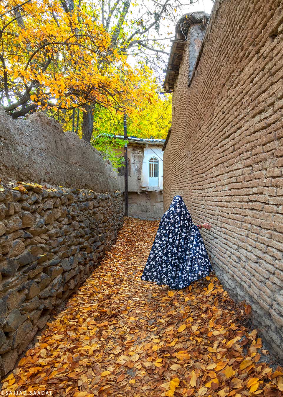 کوچه های خاطره