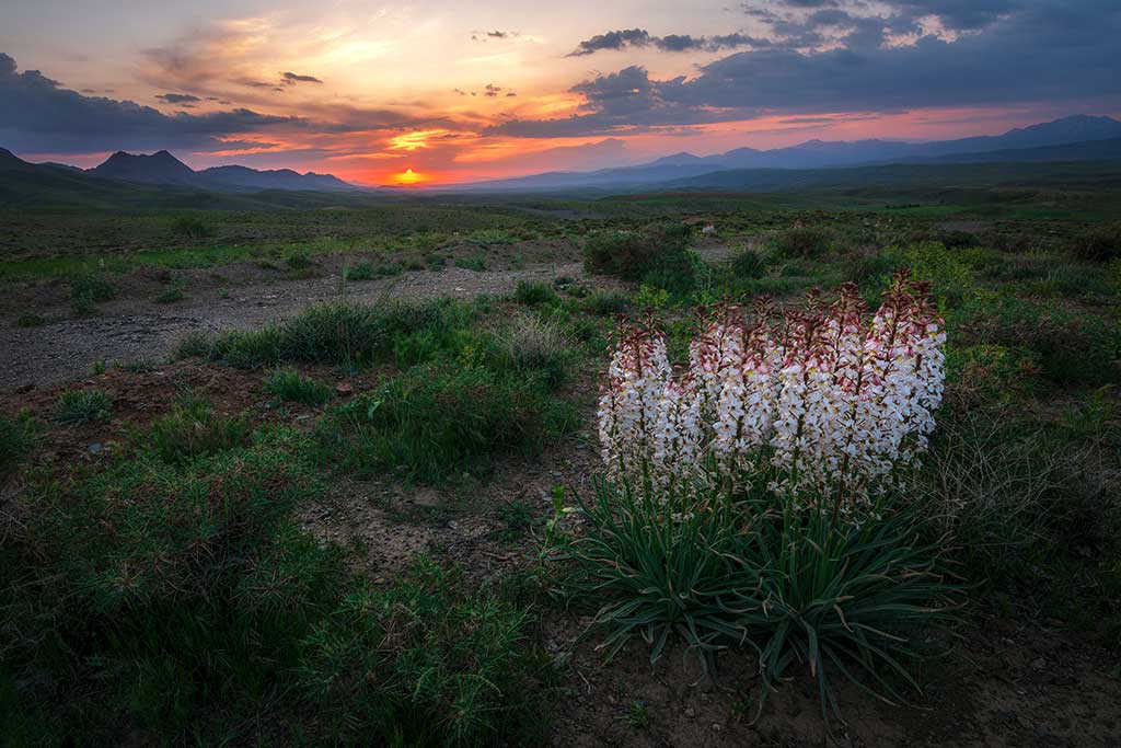 HDR در عکاسی چیست