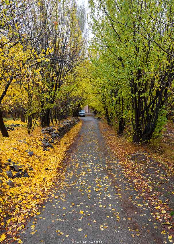 کوچه باغ های خوانسار در پاییز 1