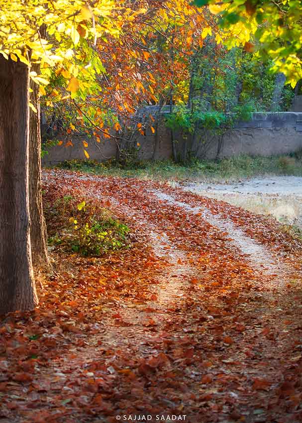 کوچه باغ های خوانسار در پاییز 8